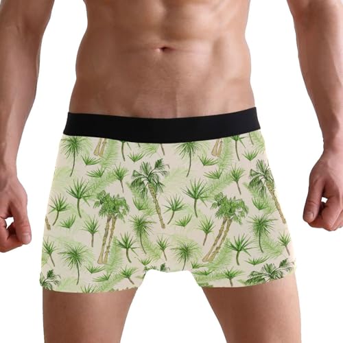 ZZKKO Coconut Palm Tree Mens Boxer Briefs Underwear Breathable Stretch Boxer Trunk With Pouch S-XXL