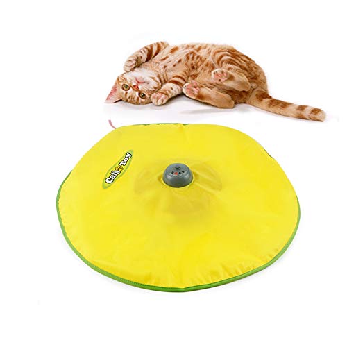 Juego interactivo para gatito Buyter Cat'S Meow juguete electrónico automático de persecución 4