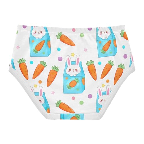 Kawaii Cute Bunny Toddler Underwear Custom 2t Cotton Panties Little Girl Fun Briefs Kids Undies2