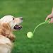 Relaxdays Lanzador Pelotas, Juego de 2 Unidades con 5 Bolas, Juguete Perros,...