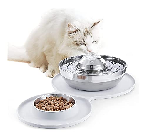 Fuente dispensadora de agua para mascotas 2 en 1 acero inoxidable