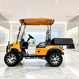 Golf Carts for Sale Foldable Mini Electric Golf Cart Lightweight Utility Sightseeing Vehicle for Backyard Farm Travel Easy Operation