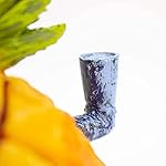 Penn-Plax (SBR10EO Spongebob Squarepants Officially Licensed Aquarium Ornament – Spongebob’s Pineapple House – Medium - Image 5