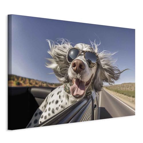 murando - Wandbilder XXL Hund lustig 120x80 cm 1 tlg - Wand Deko Leinwand Bilder Groß Wanddeko Wohnzimmer Schlafzimmer Kunstdrucke Bild lachender Hund English Setter Auto g-H-10029-b-a