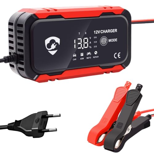 Désulfateur auto sûr pour les jeunes batteries et chargeur 12V moto
