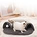Cat Tunnel Tube with Plush Ball Toys Collapsible Small Dog House Indoor Pet Nest (Gray,Small(19.3x25.6x6.7in))