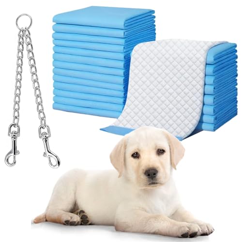 Large Puppy Training Pads 200 Pack, Dog Training Mats Super Soft Disposable Dog ToiletTraining Pads Quick Dry Puppie Pad Large Dog Pads with Free Dog Lead Chain Dog Puppy Pee Pad Leakproof 60x60cm