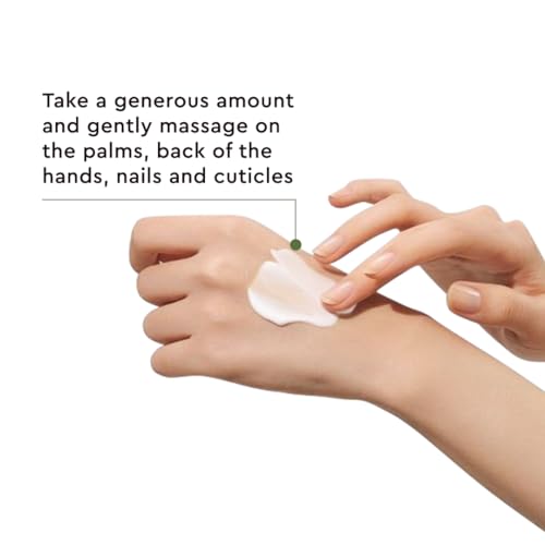 The Face Shop Daily Moment Vegan Hand Cream Noon Park with Hyaluronic Acid & Shea Butter, Non-Greasy & Quick absorbing hand care cream, 30ml - Image 5