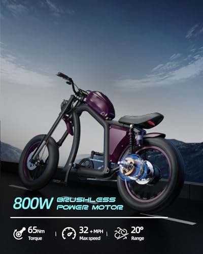 BIGNIU Bicicleta elétrica para adultos, motor sem escova de 800 W, 48 V / 22,5 Ah, bicicleta elétric