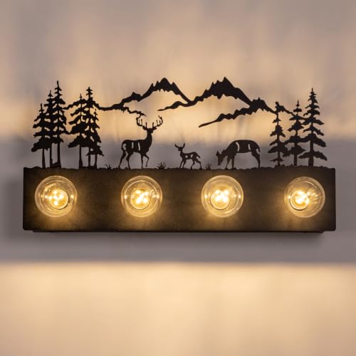 Image of TOCHIC Rustic Bathroom Vanity Light, 4-Light Western Vanity Light 24 inch
