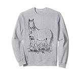 Schönes Reitsport Shirt, Pferdeliebe Shirt, Reiten Shirt, Pferde T-Shirt & Westernreiten T-Shirt. Optimale Reitbekleidung Damen, Reitbekleidung Kinder und Reitbekleidung Mädchen zur Reithose Damen. Geschenk für Reitlehrer, Pferdebesitzer & Freizeitreiter.