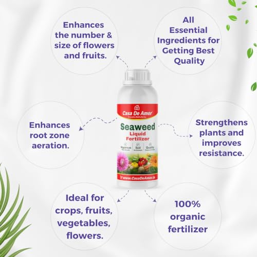 Casa De Amor Seaweed Extract Liquid Plant Boost For Plants with Mea...