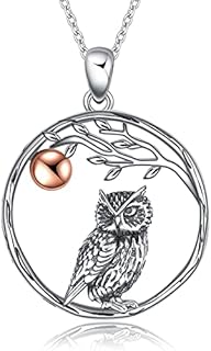 YAFEINI Owl Necklace for Women 925 Sterling Silver Owl Pendant Jewellery Gift for Mum Girls Friend