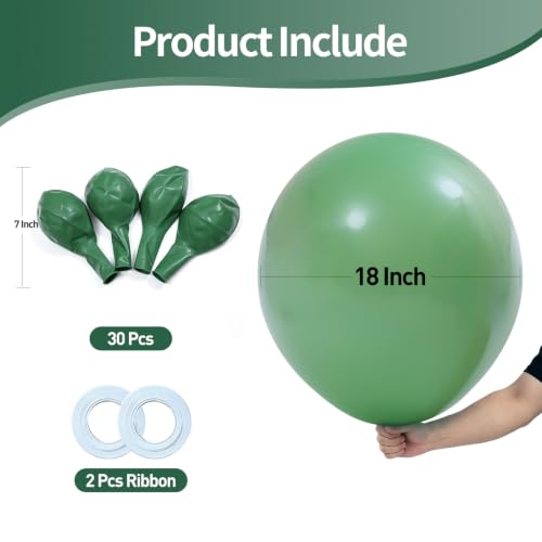 Image of KALOR 18 Inch Bean Green Large Latex Round Balloons 30-Pack