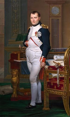 Cuadro de lienzo de Napoleón para cubrir espacios vacíos en paredes y mejorar la estética del hogar