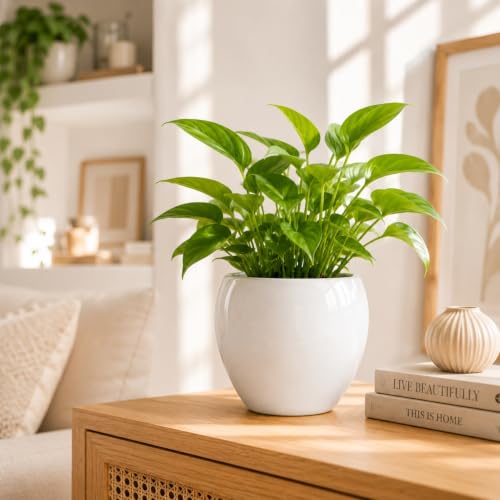 Image of ecofynd 5.1 Inch Ceramic Plant Pots with Drainage Hole, Modern Decorative Clay Flower Pots for Indoor Plants, Decorative Tabletop Planters for Home, Office, Living Room, Bedroom & Shelf (CPOT047-WHT)