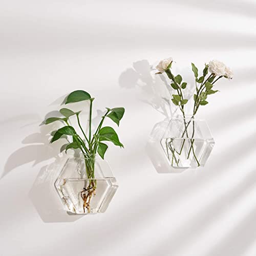 Blogblog Glass Wall Planters 6Pcsterrarium Hanging Air Plant Holders Containers For Hydroponics Plants, Succulents, Herbs, Flowers (Hexagon) #TOP2