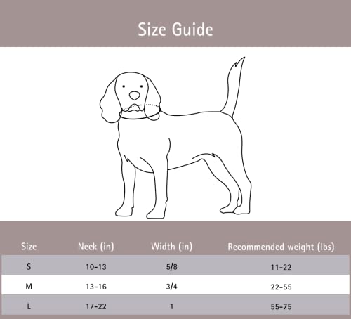 Dog Collar - Cute Dog Collar For Small/Medium/Large Dogs, Boy And Girl Dog Collars Soft Adjustable (Medium (13"-16"), Floral02) #TOP1