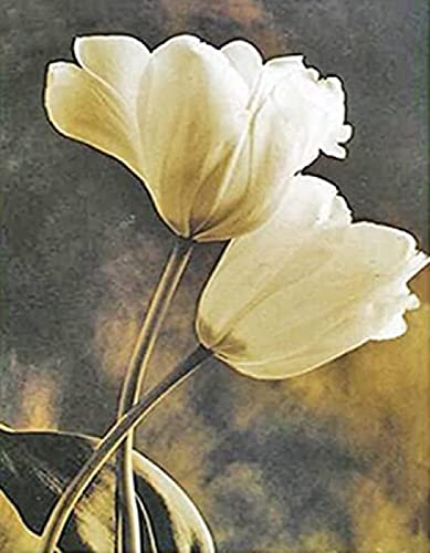 Peinture au diamant 5D tulipe pour une déco salon zen