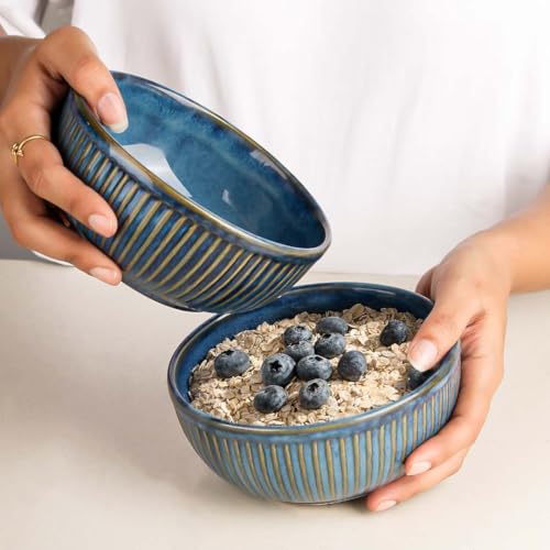 Image of The Earth Store Glam Blue 500ml Each Ceramic Bowls for Kitchen | Dishwasher & Microwave Safe | Bowl Mixing | Bowl for Snacks, Rice, Dal, Fruits, Salad, Noodles, Maggi and More Serving Bowls (Set of 2)