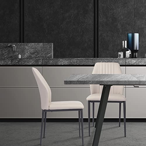 Zerifevni Dining Table Set For 6, Mid-Century Kitchen Table Set For 6-8 Person For Dining Room, Steel Legs #TOP1