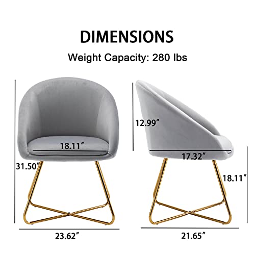 Altrobene Mid-Century Accent Chairs Set Of 2, Velvet Dinging Chair, Living Room Bedroom Chair Set, Golden Finished, Grey #TOP1