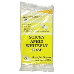 Hydrofarm Hgslwft 5 Count Sticky White Fly Trap