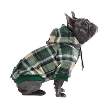best dog jackets for pitbulls