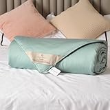 CUDDLE DREAMS Tencel Silk Comforter, Eucalyptus Lyocell Tencel Shell with 100% Long-Strand Silk Filling, Cool to The Touch, All Season Duvet for Hot Sleepers (Celadon, King)
