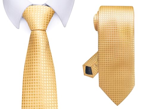 Image of Passabin Tie For Men Necktie Woven Jacquard Neck Ties Set 6 PCS