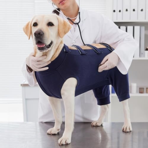 IECOii Haustier-Chirurgie-Anzug Langärmel,Hunde-Body mit E-Halsband & Kegel,Weich Chirurgischer Anzug nach kastriertem/kastriertem Tragen,Genesungsanzug für Hunde mit Bein,Operation Body Hund,Blau,XL