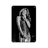 Rock Singer Tina Turner Classic Poster (7) Blechschild 