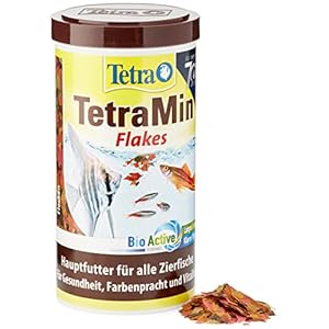 TetraMin (hoofdvoering voor alle siervissen in vlokkenvorm, voor een lang en gezond visleven en helder water, plus…