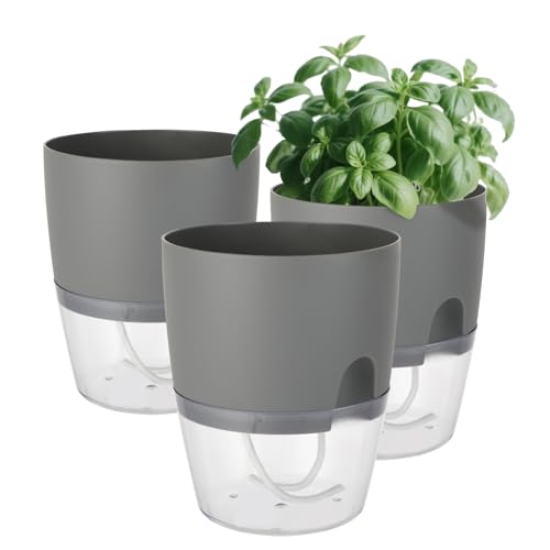Windfromort Kräutertopf Küche Set - Kräutertopf Selbstbewässernd - Küche Balkon Set, Kunststoff Pflanztopf mit Bewässerungssystem für Frische Küchenkräuter Fensterbank Schlafzimmer(Grau) Windfromort Kräutertopf Küche Set - Kräutertopf Selbstbewässernd - Küche Balkon Set, Kunststoff Pflanztopf mit Bewässerungssystem für Frische Küchenkräuter Fensterbank Schlafzimmer(Grau)