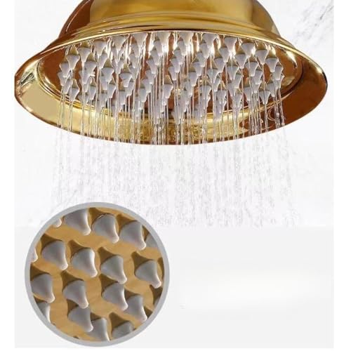 Pommeau de douche pluie rétro chrome acier inoxydable tête ronde pour douche - 7