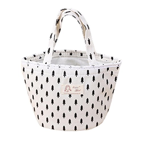 Bolsas de almuerzo,Termoaislado almuerzo caja nevera bolsa bolso Bento Bolsa almuerzo contenedor LMMVP (A, 21cm×17cm)