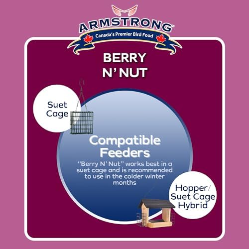 Armstrong Royal Jubilee Berry 'N Nut 3 Pack Suet Cakes 960g, One Size 1 Pack - 5