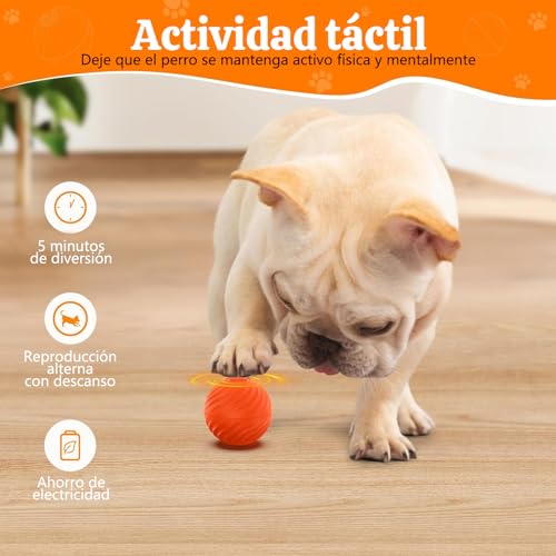 Juguetes Para Perro, Pet Products Imagen adicional