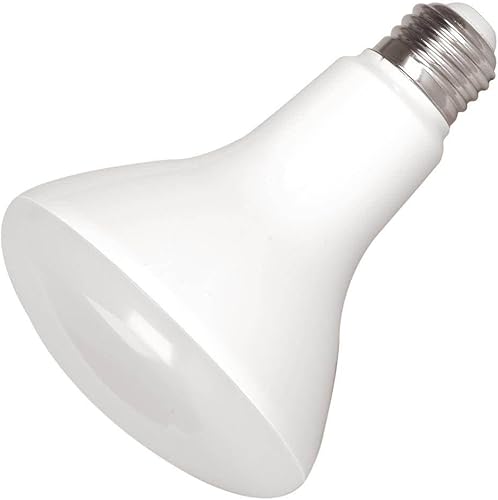 Eiko 11334 - Bombilla LED de inundación LED8WBR30827-DIM-G9B BR30