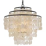 Crystorama Brielle 4 Light Dark Bronze Chandelier - Ceiling Light Fixture - Chandeliers for Hallway,