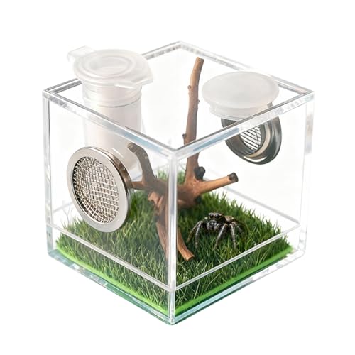 ANw偎P[X ~j^`Lbg w偉B ʋC w偃eE