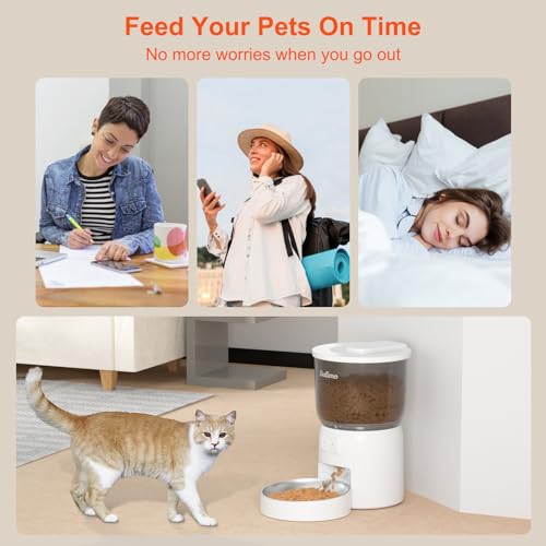 Comedero Gato Automatico F06 - Imagen 8