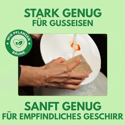 AIRNEX Biologisch Abbaubarer Spülschwamm 10er Set – Kompostierbarer Naturschwamm Aus Zellulose und Kokosfasern Mit Topfreiniger– Umweltfreundlicher Putzschwamm – Geruchloser Küchenschwamm Sponge