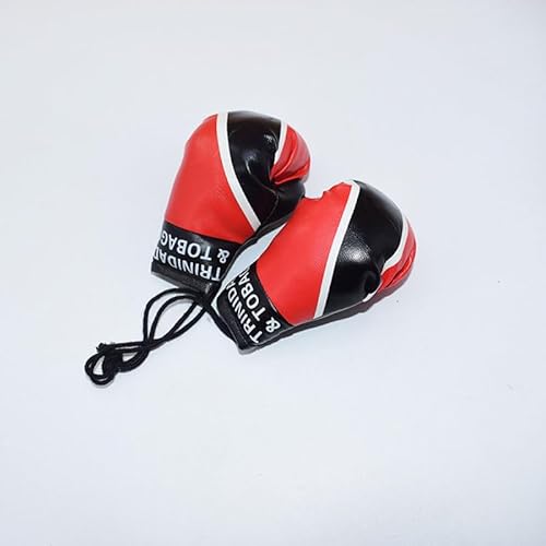 Joayuezo 1 Pair Mini Boxing Gloves Hang Mini Boxing Gloves for Car Mirror Keychain Ornament Car Decoration Accessories for Men and Women (Trinidad and Tobago)