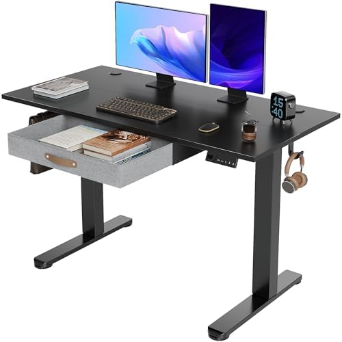 Seang Standing Desk with Drawer, 48" x 24" Height Adjustable Stan...
