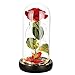 Beauty and The Beast Rose Set - Romantic surprise for Christmas &Valentine's Day & OtherFestivals, Beautifully Decorated With Red Silk Roses, LED Lights and Dome Glass and Wooden Base