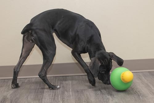 Starmark Bob-A-Lot Interactive Dog Pet Toy — bottom and base construction detail