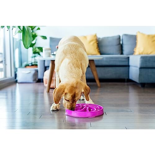 Outward Hound Fun Feeder Slo Bowl, Slow Feeder Dog Bowl, Large/Regular, Purple #TOP4