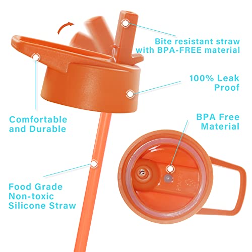 Stacegeele Insulated Vacuum Water Bottle For Kids With Straw Lid Stainless Steel Flask Thermos For Boys And Girls Leak Proof Lightweight Eco Friendly 18Oz(550Ml), Orangeade #TOP3