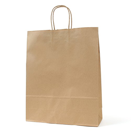 パックタケヤマ 手提げ 紙袋 HZ 未晒 50枚 XZT00666
